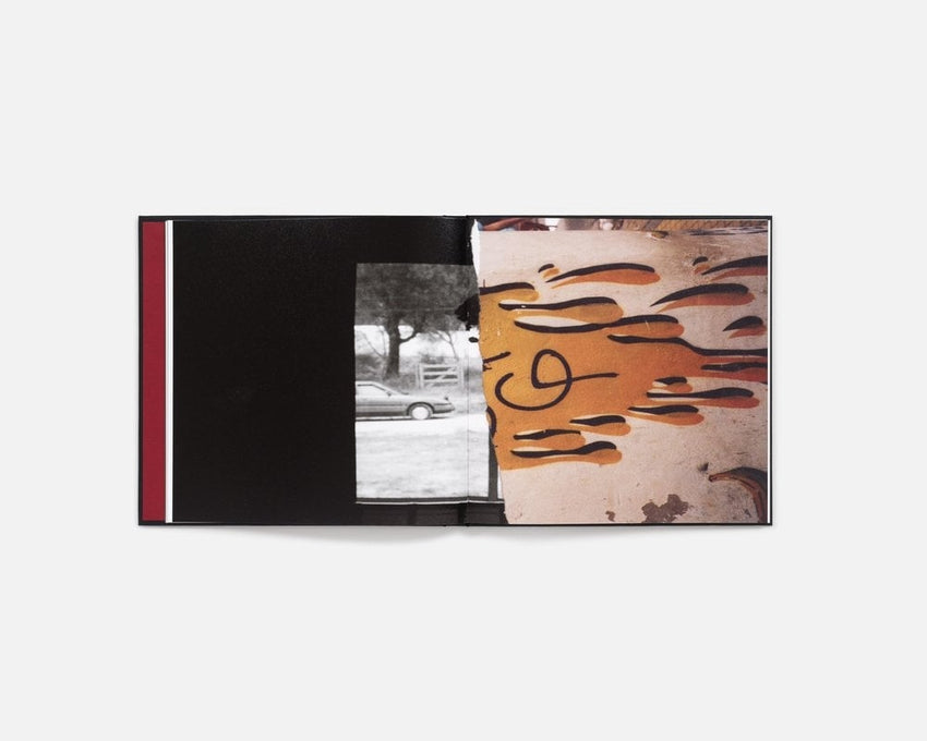 Cansu Korkmaz: Quite a While