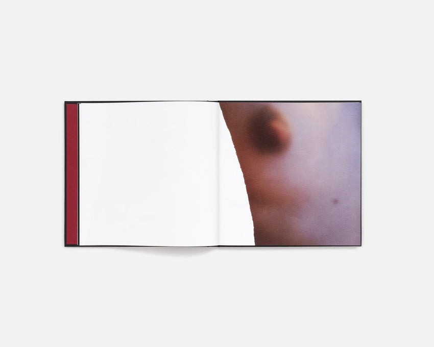 Cansu Korkmaz: Quite a While
