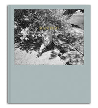 Kristine Potter: Manifest