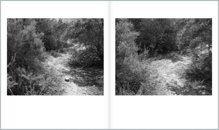 Kristine Potter: Manifest