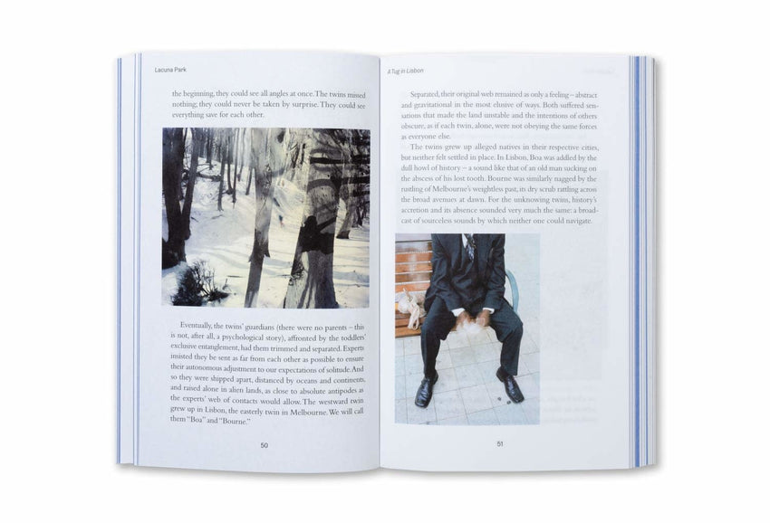 Lacuna Park: Essays and Other Adventures in Photography by Nicholas Muellner