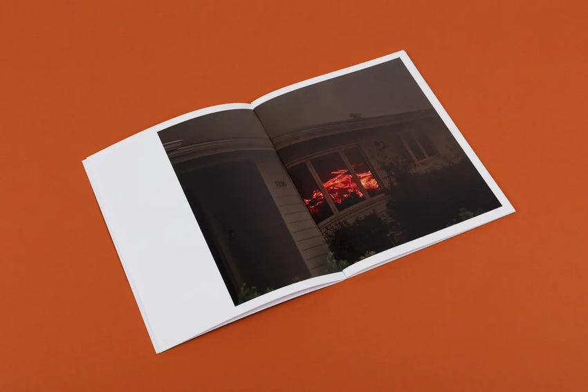 Philip Cheung: Wildfire
