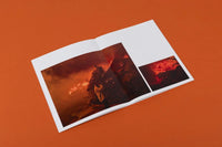 Philip Cheung: Wildfire