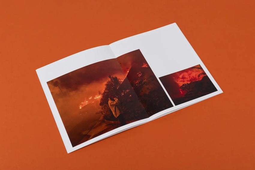 Philip Cheung: Wildfire
