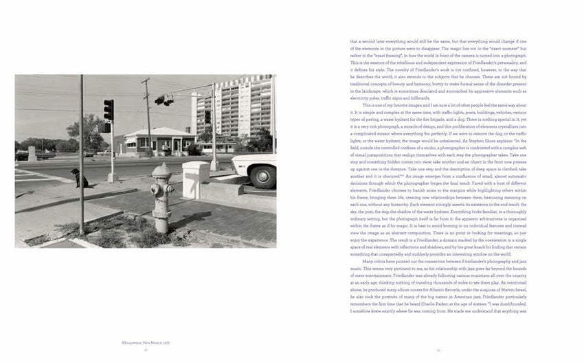 Lee Friedlander