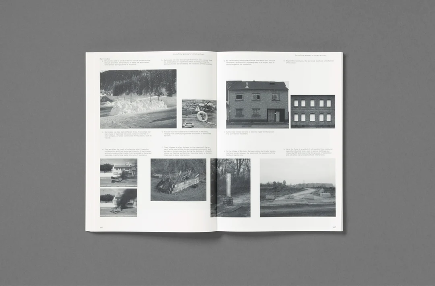 Michele Borzoni & Rocco Rorandelli: Silent Springs