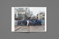 Michele Borzoni & Rocco Rorandelli: Silent Springs