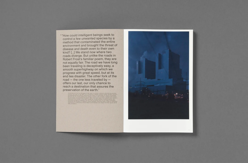 Michele Borzoni & Rocco Rorandelli: Silent Springs