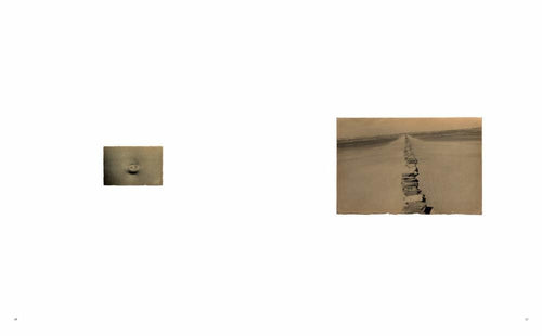 Masao Yamamoto: Small Things in Silence