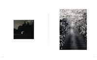 Masao Yamamoto: Small Things in Silence