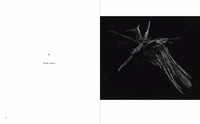 Masao Yamamoto: Small Things in Silence