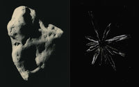 Masao Yamamoto: Small Things in Silence