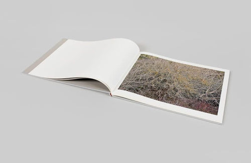 Edward Burtynsky: Natural Order