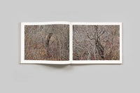 Edward Burtynsky: Natural Order