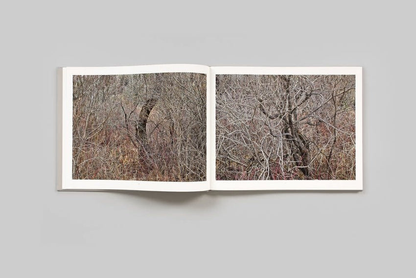 Edward Burtynsky: Natural Order