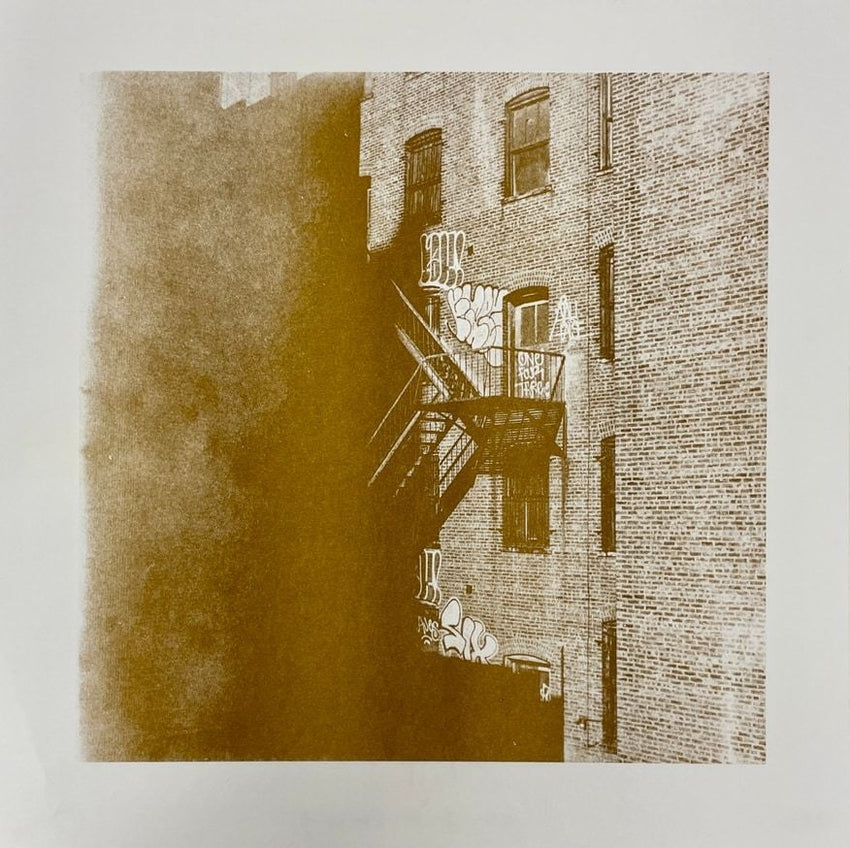 New York The streets riso print