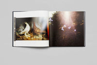 Nan Goldin: Diving for Pearls