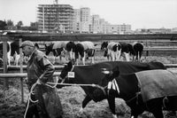 Leonard Freed: Amsterdam The Sixties [signed]
