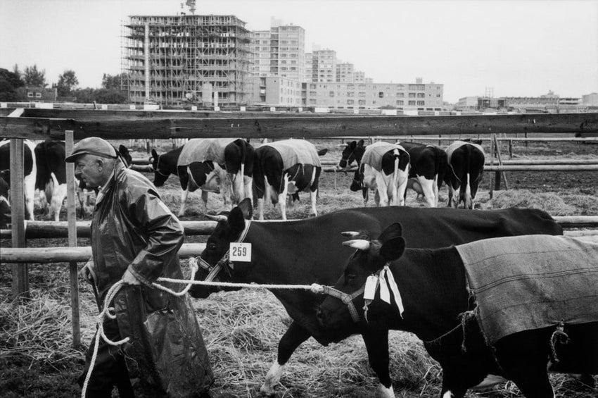 Leonard Freed: Amsterdam The Sixties [signed]