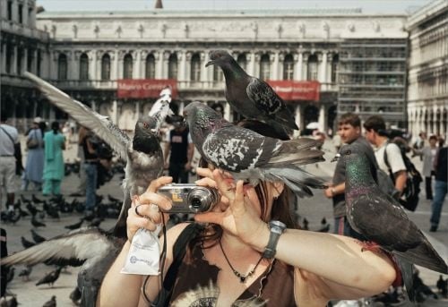 Martin Parr: Animals