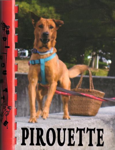 Luc Jolivet: Pirouette