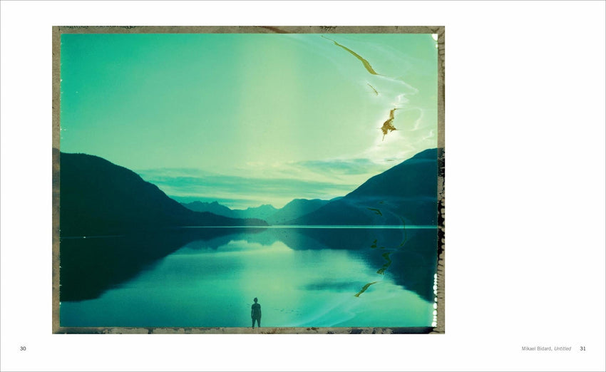 Polaroid Now: The History and Future of Polaroid Photography