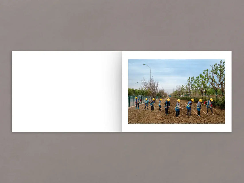 Daniel Lee Postaer: Mother's Land