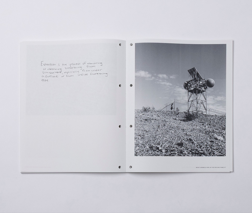 Samantha Jensen: Desert Notes