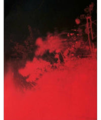 Richard Mosse: Broken Spectre
