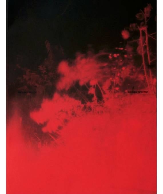 Richard Mosse: Broken Spectre