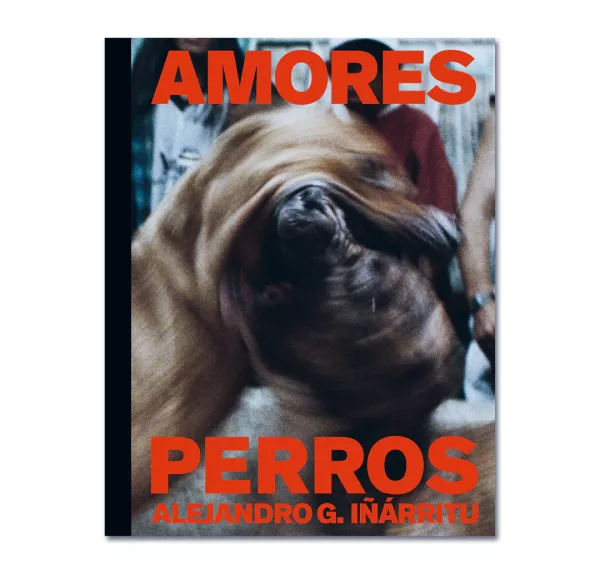 Alejandro G. Iñárritu: Amores Perros