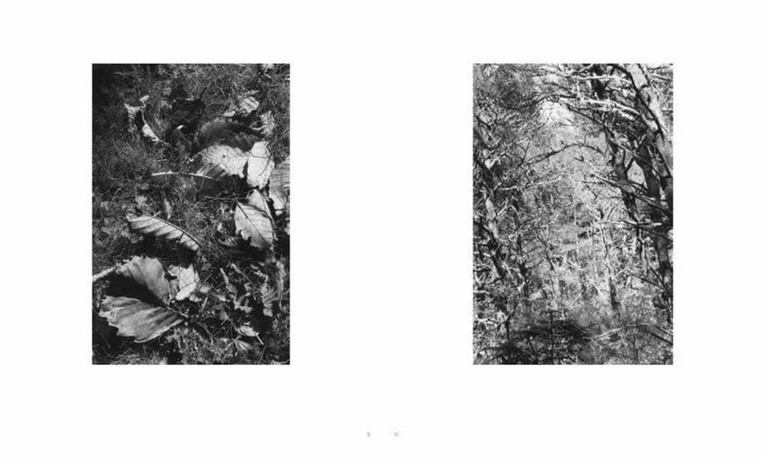 Robert Adams: A Parallel World