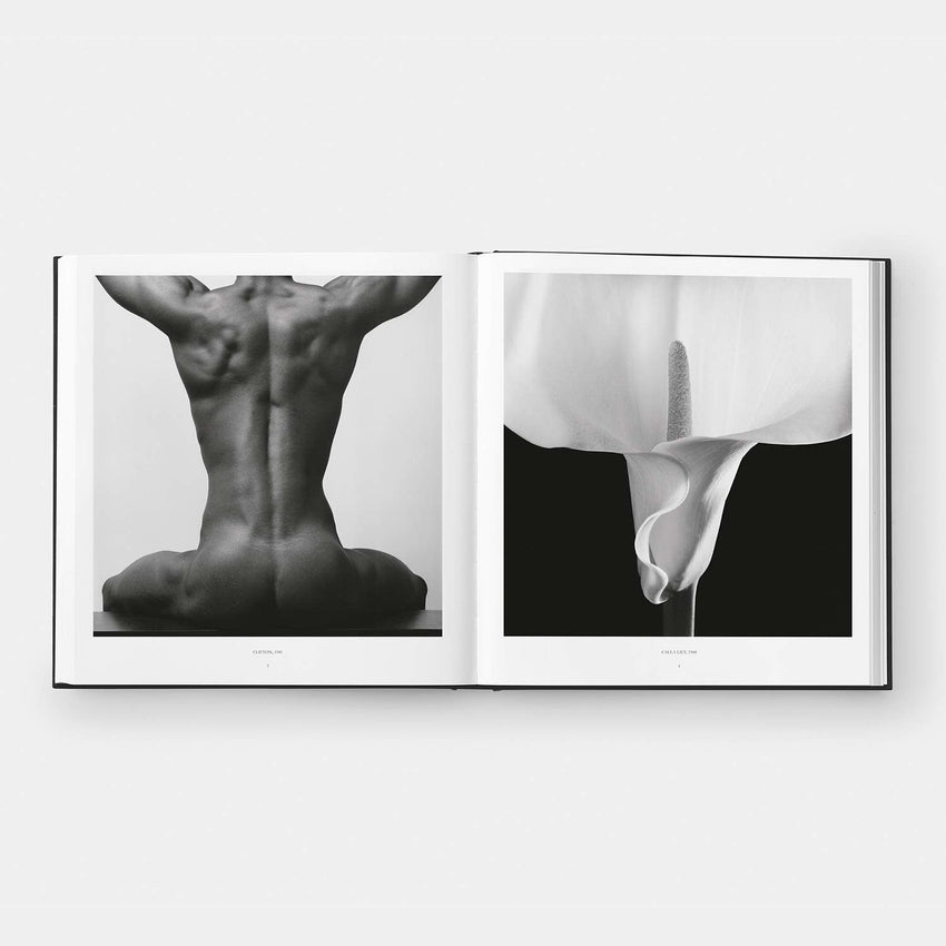 Robert Mapplethorpe