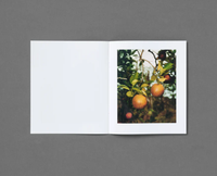 Roe Ethridge: In The Beginning