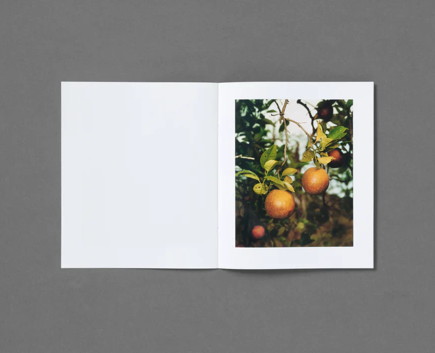 Roe Ethridge: In The Beginning