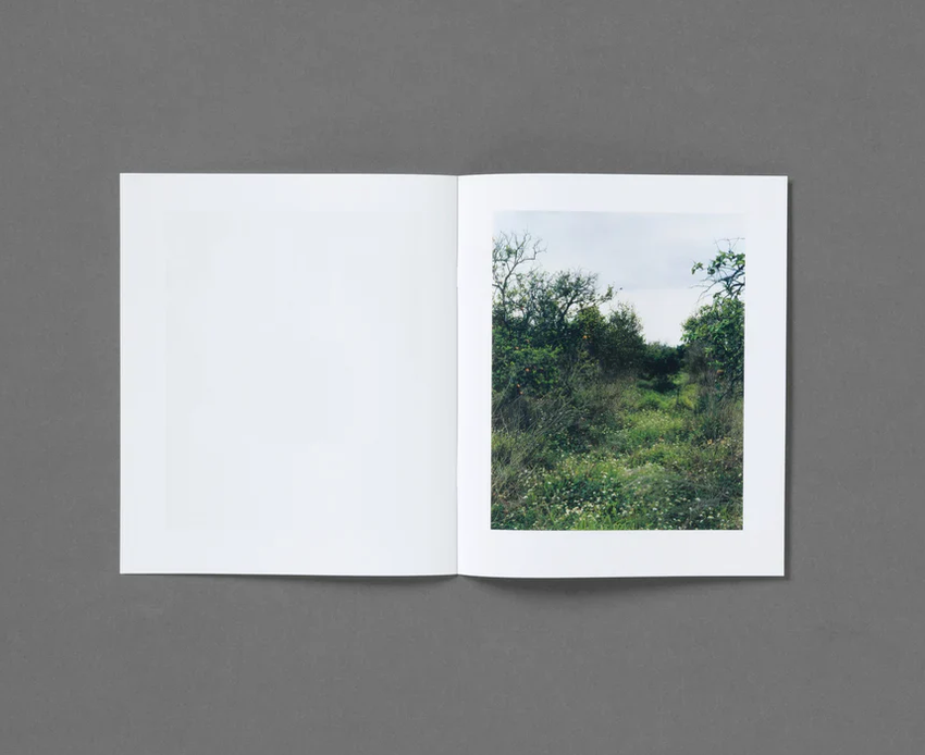 Roe Ethridge: In The Beginning