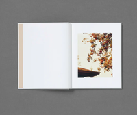 Roe Ethridge: In The Beginning