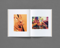 Roe Ethridge: In The Beginning