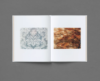 Roe Ethridge: In The Beginning