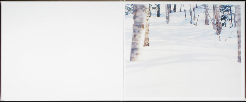Risaku Suzuki: Yuki Sakura