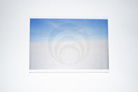 Allison Davies: Outerland (Used)