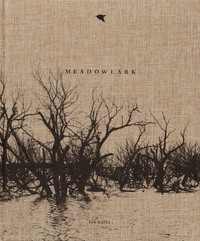 Ian Bates - Meadowlark