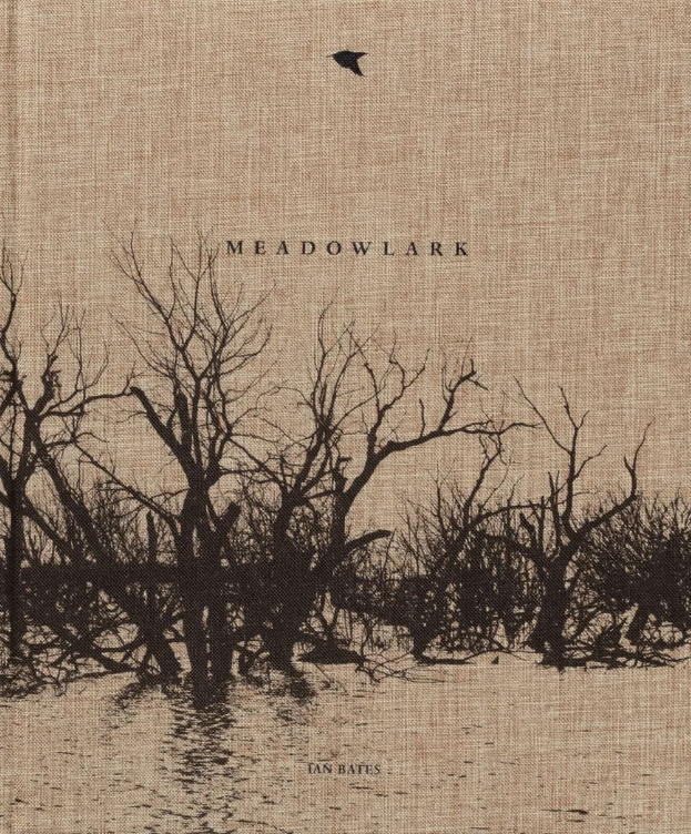 Ian Bates - Meadowlark