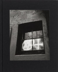 Harry Culy: Mirror City