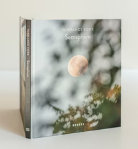 Torrance York: Semaphore