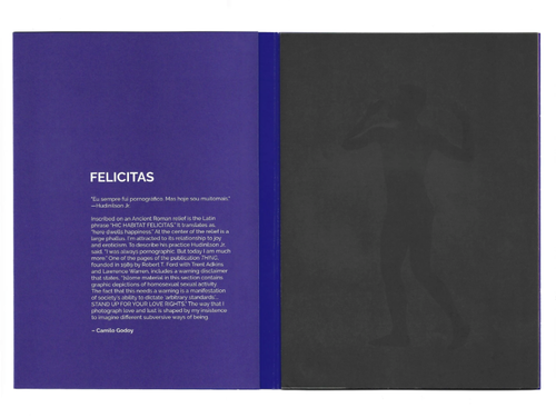Camilo Godoy: FELICITAS