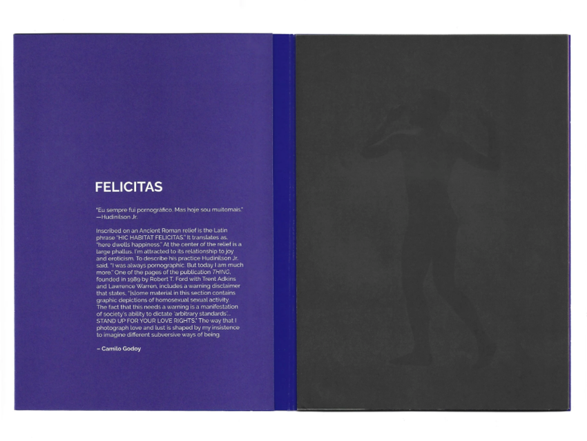 Camilo Godoy: FELICITAS