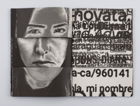 Diana Lopez: 101 Dianas