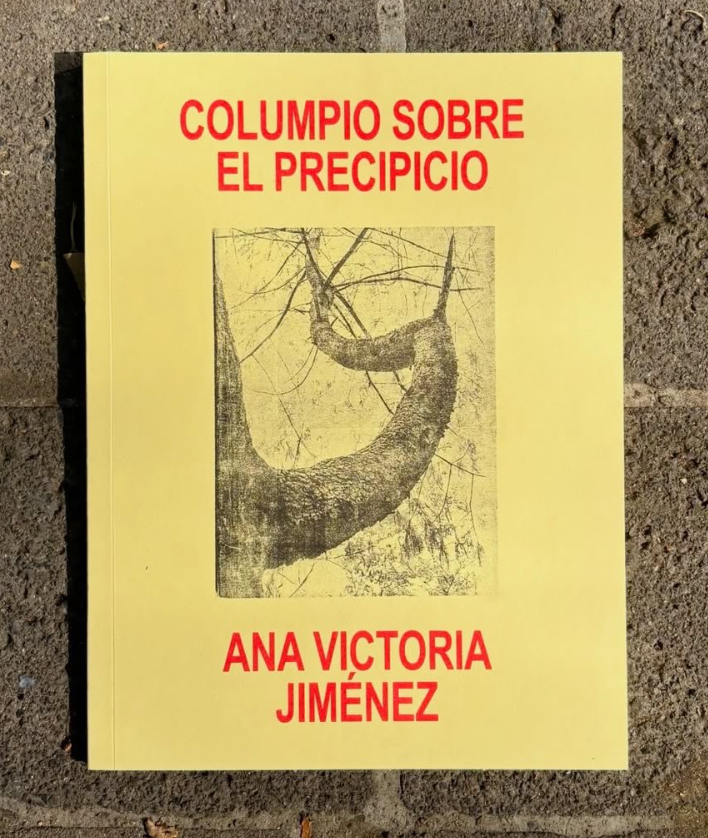 Ana Victoria Jiménez: El columpio sobre el precipicio