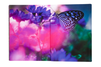 Mika Ninagawa: Eternity in a Moment Vol. 2